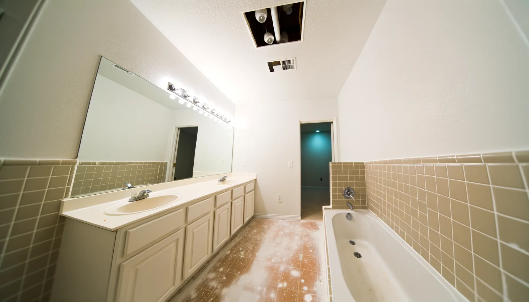 Mold Remediation - Project 4